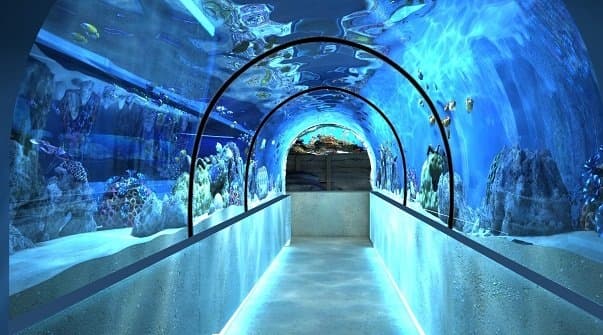 алуштинский аквариум